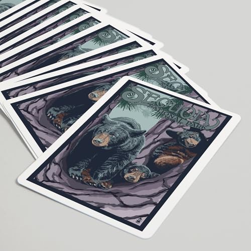 Lantern Press Black Bears en Sequoia, Baraja Poker 52 Cartas miniatura 5