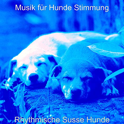 Musik Für Hunde Gegen Angst Amazon Music - Musik für Hunde StimmungのRhythmische Susse Hunde