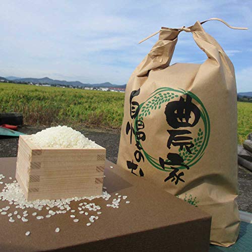 のじファーム 福井県産 文殊のお米 コシヒカリ 玄米 30kg 令和7年産