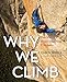 Produktbild Why We Climb: The World's Most Inspiring Climbers