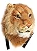Peluche 3D Animal Tête Sac à Dos Sac à Dos Tigre/Lion/Léopard/Noir Ours Tête Sac À Dos Sac à Dos Et Mural Tête d'animaux Tête Sac (Lion)