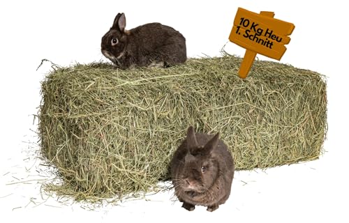 Carton-Bon marché I Foin 10 kg Balles de Foin pour cochons d'Inde Paille