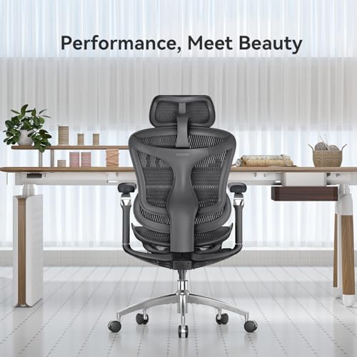 SIHOO Doro C300 Pro Ergonomic Office Chair with Ultra-Soft 6D Armrests, Dynamic Lumbar Support, Seat Depth Adjustment and Adjustable Backrest Desk Chair for Home Office (Black)