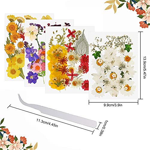 127 Stuks Echte Gedroogde Geperste Bloemen Wikay Natuurlijke Bloemen Geperste Bloem Blad Voor DIY Hars Sieraden Maken… - Afbeelding 3