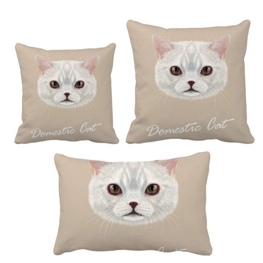 Coussin chat blanc pour sublimer votre canapé de salon
