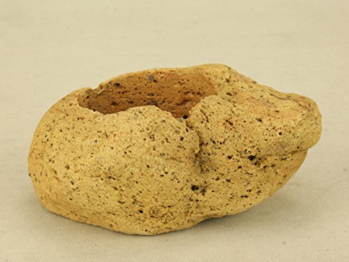 悶 y~͔z Y t y iTCYj