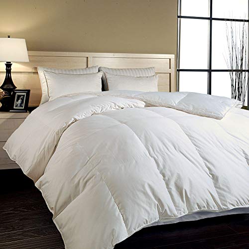 Blue Ridge Home Fashions Royal Luxe Unisex Sateen White King Naples 700 Thread Count Cotton Hungarian Goose Down Comforter, Full/Queen