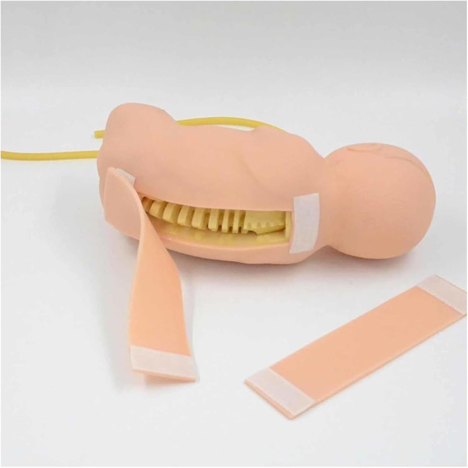 Modello per Puntura Lombare Neonatale, Simulatore Didattico per Laddestramento alla Puntura Lombare, Modello di Simulazione 1:1 per La Valutazione E Laddestramento, per Medici, Infermieri,