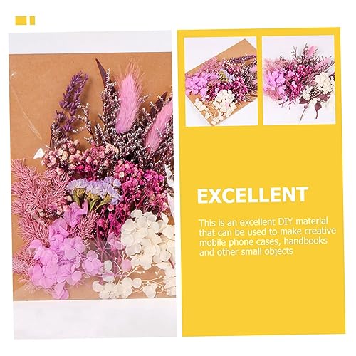 Flores secas para manualidades ORFOFE 1 bolsa miniatura 7