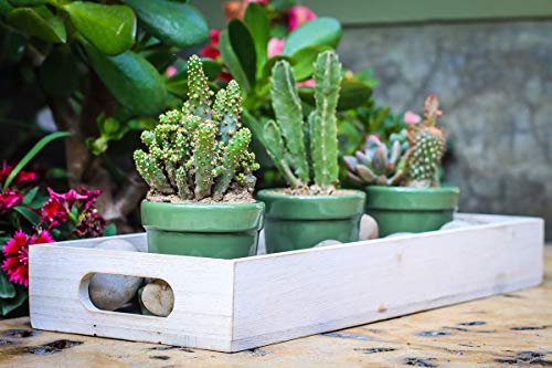 Strova Decorative Wood Serving Trays With Handles (Set Of 2) Rustic Farmhouse Home Décor – Multipurpose Nesting Wooden Crates For Décor Display And Storage – Rectangular Wood Servers Measure 15 Inches #TOP7