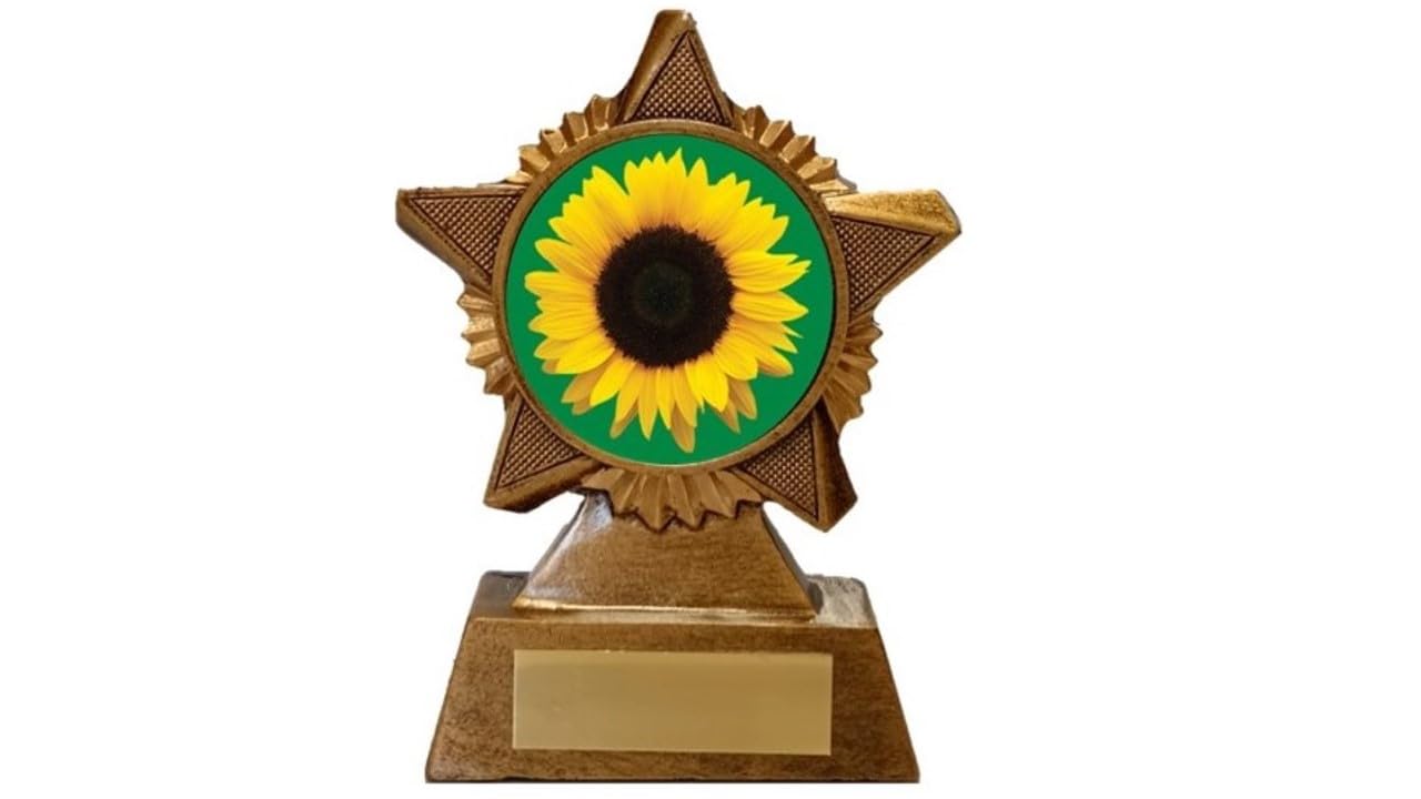 Troshow Antique Gold Sunflower Trophy Award Premier Star 120Mm Heavy Resin Free Engraving -Troshow1-Gr