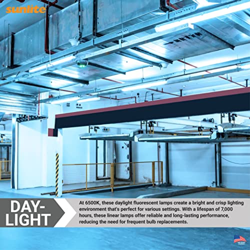 Sunlite 05085 18-Inch T8 Linear Fluorescent Lamp, 15 Watts, 560 Lumens, F15T8/D, 6500K Daylight, Medium G13 Bi-Pin Base, Rohs Compliant, 30 Pack #TOP3
