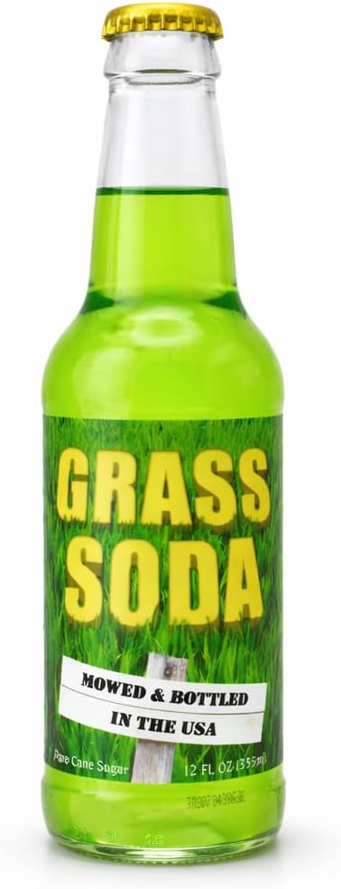 Rocket Fizz Grass Soda Flavor | Cane Sugar | Craft Soda Pop Drinks | 12 oz in Glass Bottle (1 Bottle)
