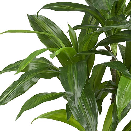 Nearly Natural 4' Spiked Agave Plant, Green & 43In. Dracaena Silk (Real Touch) Artificial Plant, Green #TOP6
