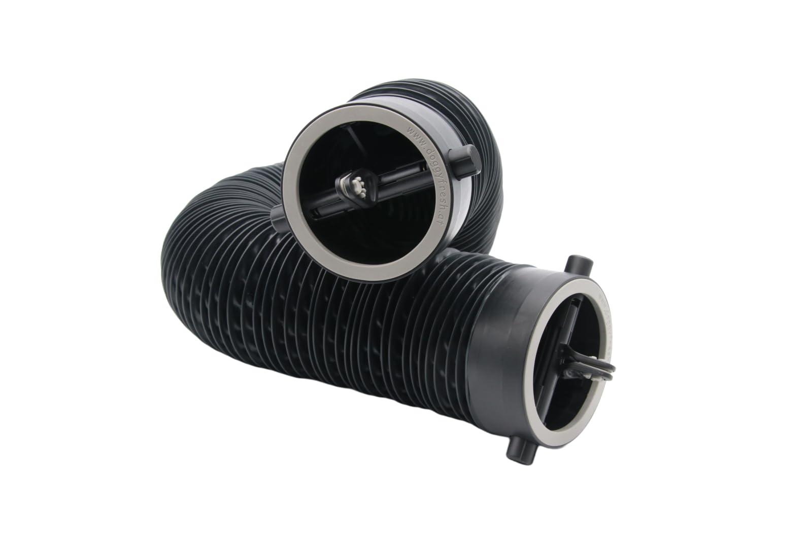 Trasporto Cani In Auto: Consigli Pratici E Obblighi Di Legge