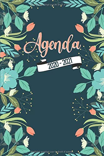 Télécharger Agenda 2020-2021: Agenda Semainier 2020-2021 – Planificateur hebdomadaire Personnel, Universitaire livre En ligne