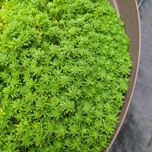 A Z_ _ lR|Xɓ邾 I}P