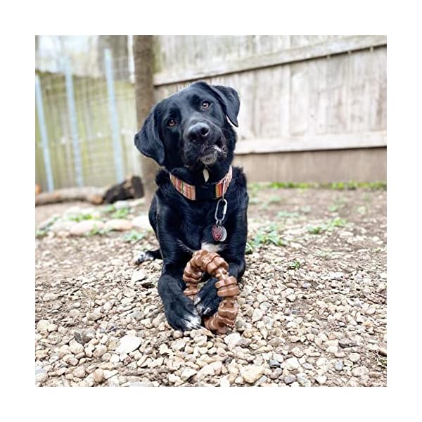 Textured Ring Dog Chew Toy
