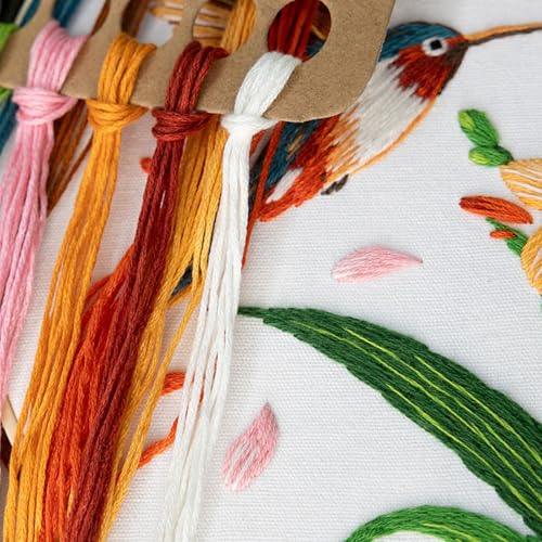 Image of GLTAYLMY 3 Pack Embroidery Kits for Adults, Hummingbird and Flower Embroidery Kit for Beginners with Clear Instructions,1 Plastic Embroidery Hoops, Stamped Patterns, Colorful Threads, Tools