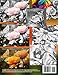 Next Beautiful Blossoms - Grayscale Coloring Book for Adults: Edition: Full pages (Double Set) (Simply Coloring by Lech)