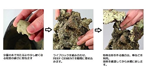 Amazon.co.jp: ゼンスイ ニオス リーフセメント : ペット用品