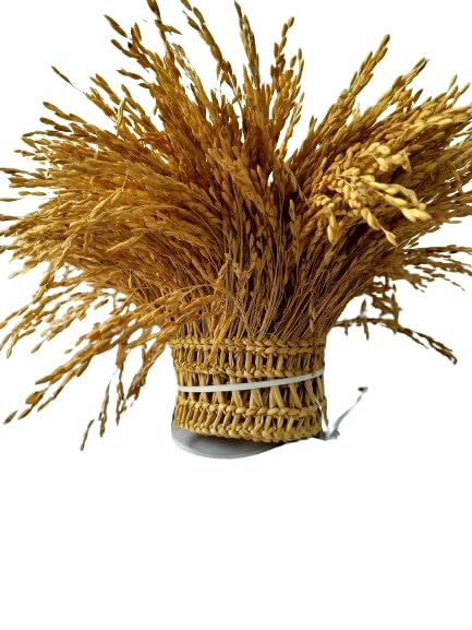 SRIVI® Paddy Rice Thoranam for Prosperity,Peace at Home,Pooja Room. to Bring postiivity .,Natural Paddy Bird Feeder Toran, Handcrafted, 3.5 Feet Long, Gold (B0D11QCFXD) Amazon Price History, Amazon Price Tracker