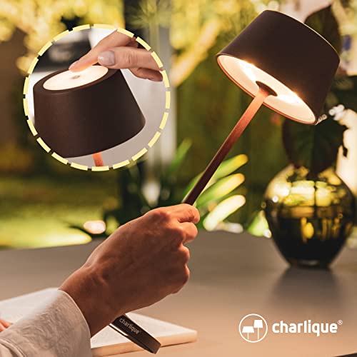 Wunderschne Charlique Led Tischlampe Ebenbild