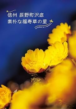 趣味の山野草2023年1月号 | 栃の葉書房 |本 | 通販 | Amazon