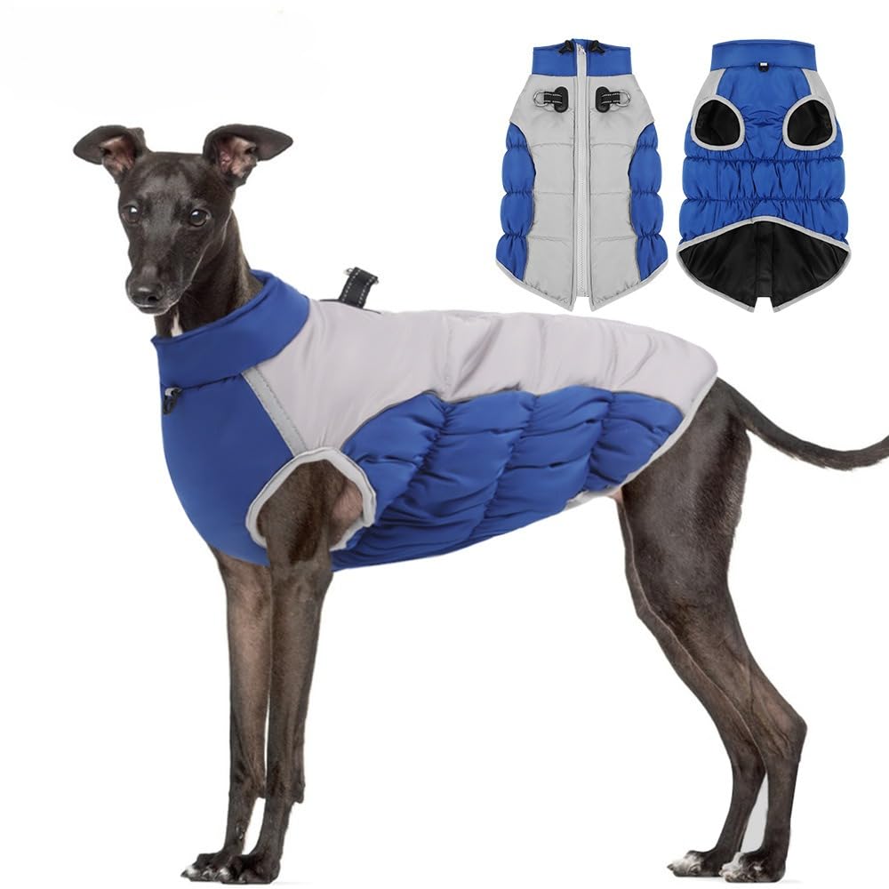 Manteau d'hiver en coton épais et chaud pour chien, confortable et réfléchissant (bleu clair, taille 5XL)