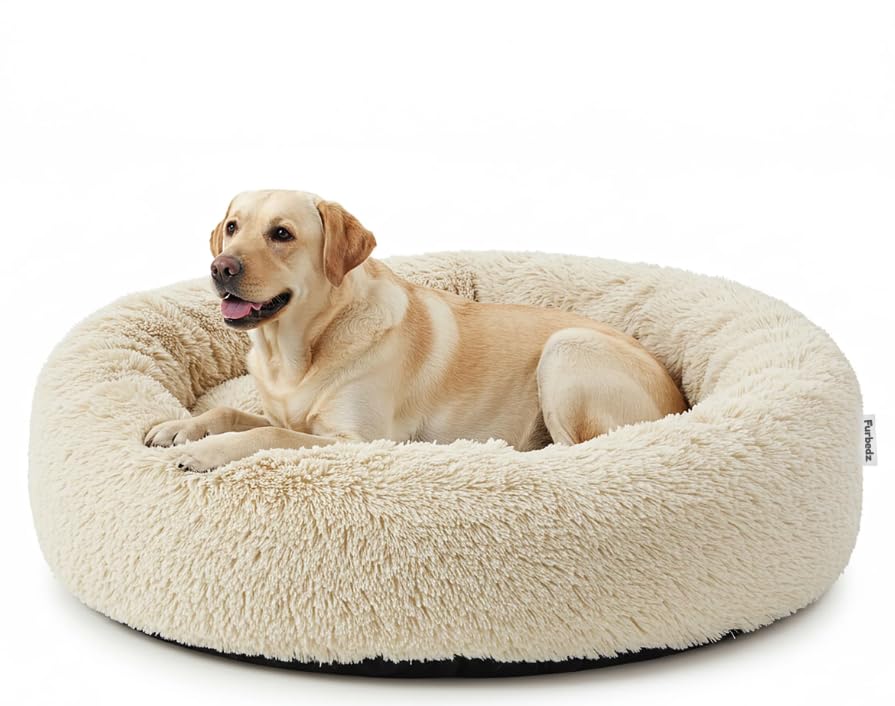 Furbedz - Anti-stress Dog Bed, Washable, Removable Cover, Ultra-Soft Plush, Memory Foam, Waterproof Base (Bone, Large (100 cm))