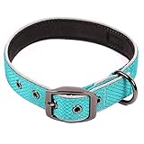 Max and Neo Glacier Reflective Neoprene Metal Buckle Dog Collar - We Donate a Collar to a Dog Rescue for Every Collar Sold (MEDIUM, TEAL)