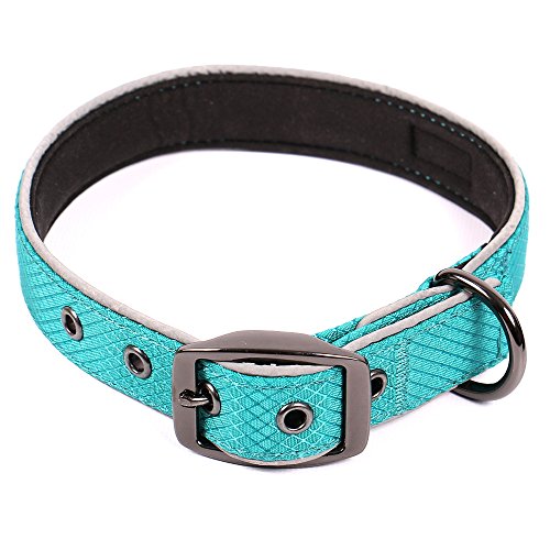 Max and Neo Glacier Reflective Neoprene Metal Buckle Dog Collar - We Donate a Collar to a Dog Rescue for Every Collar Sold (Medium, Teal)