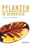  Pflanzen in Bernstein