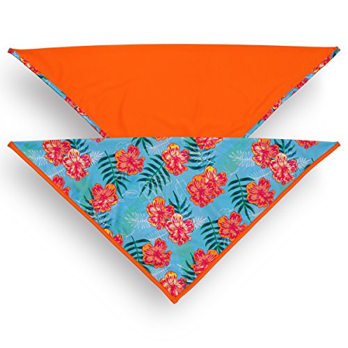 PlayaPup Dog Bandana 2-Pack (UPF 50+), Tropical Floral Blue/Tagate, 10-15" Neck