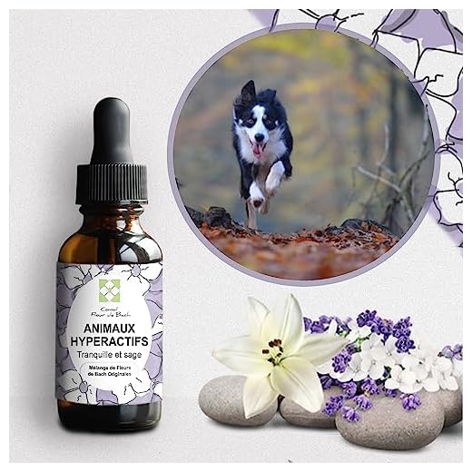 Fleurs de Bach Animaux hyperactifs un Mélange Efficace - Ce mélange va permettre à votre animal, de s'apaiser, de l'aider à se canaliser, à se modérer, s'auto discipliner et de retrouver du calme