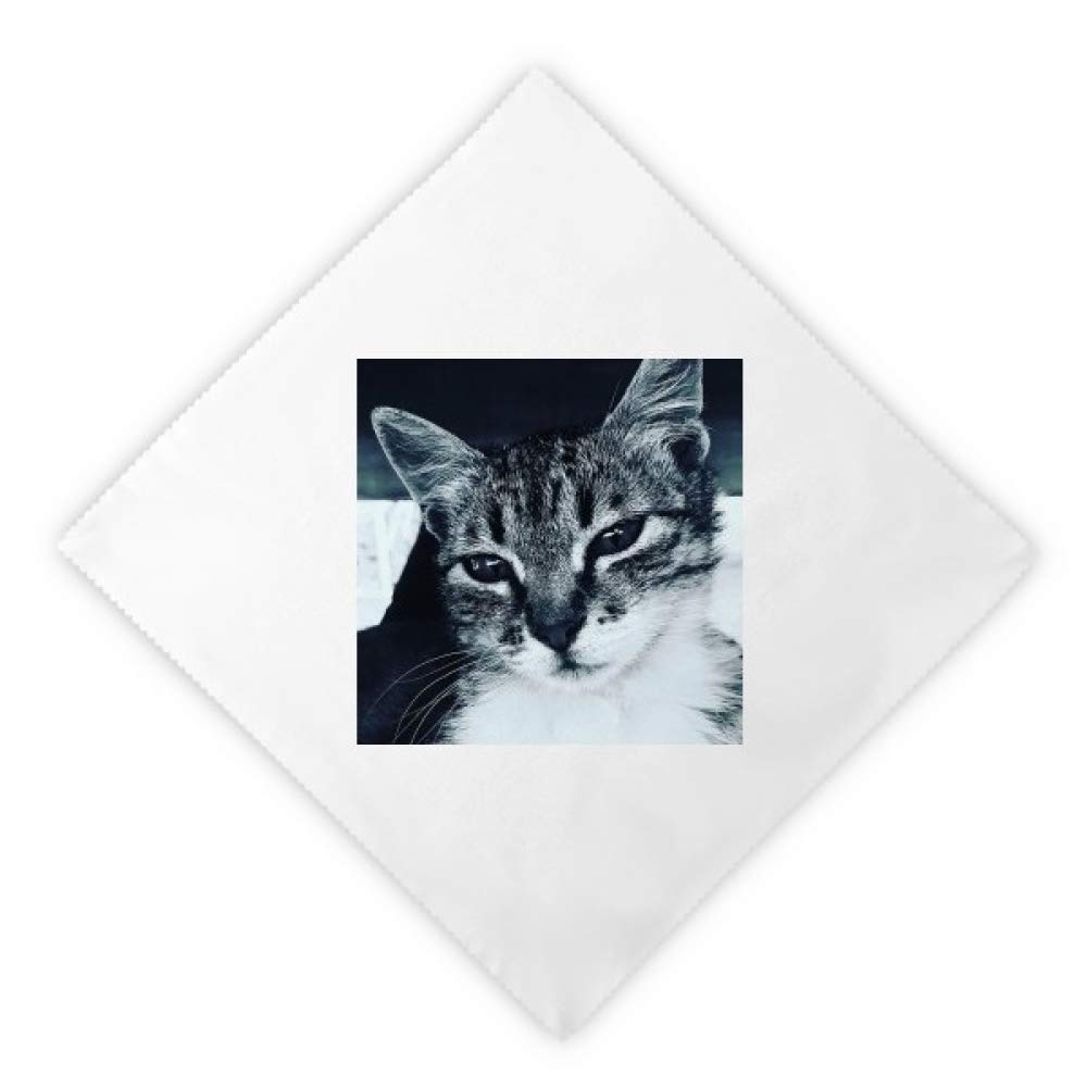 Serviettes en tissu chat gris 47x47 cm lot de 2 essuie-mains blancs