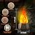 Ollcuz LED Flame Halloween Lights, USB Rechargeable Fake Fire with Flickering Flame, Waterproof LED Flame Lighting for Camping Party Patio, Garden, Backyard, Halloween Decorations, 2 Pack