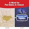 Horsepower Bull Shot Carpet Spot & Stain Remover, AS SEEN ON TV, Made In USA, Just Point & Spray, Stain-Lifting Foam-Action, Pet Stains & Odors, Coffee, Soda, Wine, Grease, New & Old Stains & More