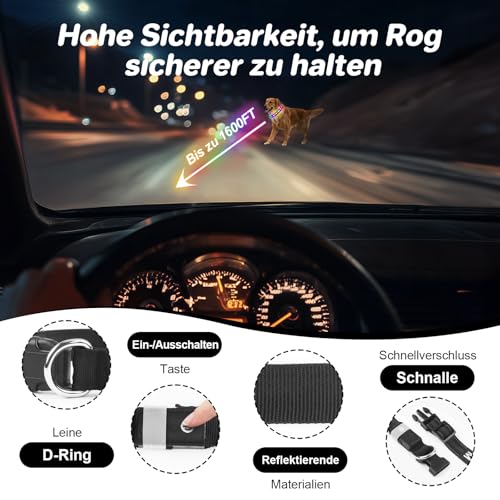 Feycig Leuchthalsband Hund Halsband Aufladbar - LED Hundehalsband Leuchtend USB Wasserdicht Einstellbare, 3 Modi, Leuchthalsband für Kleine Mittlere Große Hunde (Schwarz, M(38-50cm/15-19.7inch))