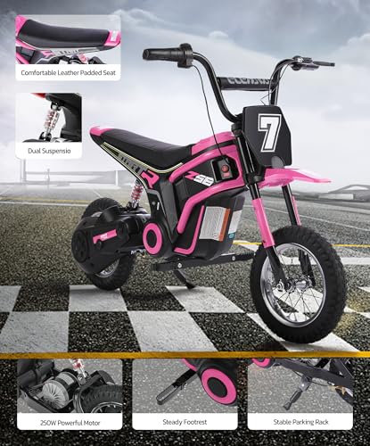 Image of ELEMARA Electric Dirt Bike,350W Motorcycle 24V Ride on Toy for Big Kids w /LED Power Display,15.5 mph & 150lb Max,3 Speeds,Chain-Driven Motor,Twist-Grip Throttle & Brake Lever,12 inch Air-Filled Tires-Pink