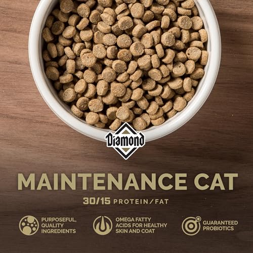Reviews de Croquetas para gato , listamos los 10 mejores. 21 Reviews de Croquetas para gato , listamos los 10 mejores. 19
