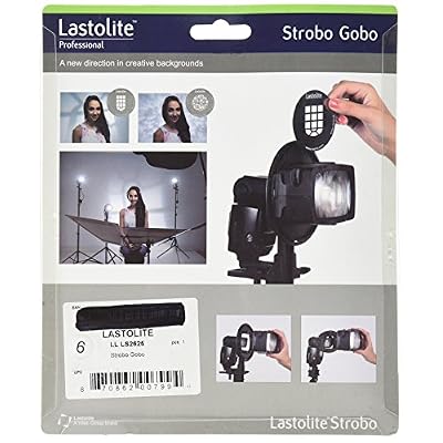 Lastolite LL LS2625 Strobo Gobo (Black)