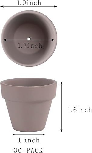 Miniatura 2 de 36 macetas pequeñas grises de arcilla de 2 pulgadas, macetas de cactus, macetas de guardería con agujeros de drenaje, adecuadas para plantas