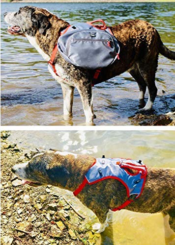 iEnergy™ MAL Dog Backpack - Dog Backpack - Weerbestendig rugzak voor honden - goed opgevulde wandelrugzak (groot