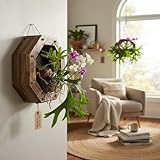 Dranvosk Staghorn Fern Mounting Kit Hanging Planting Frame Wood Wall Planter Plant Holder for Orchids and Herbs