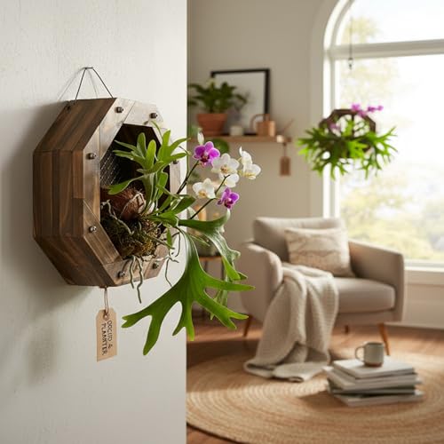 Dranvosk Staghorn Fern Mounting Kit Hanging Planting Frame Wood Wall Planter Plant Holder for Orchids and Herbs