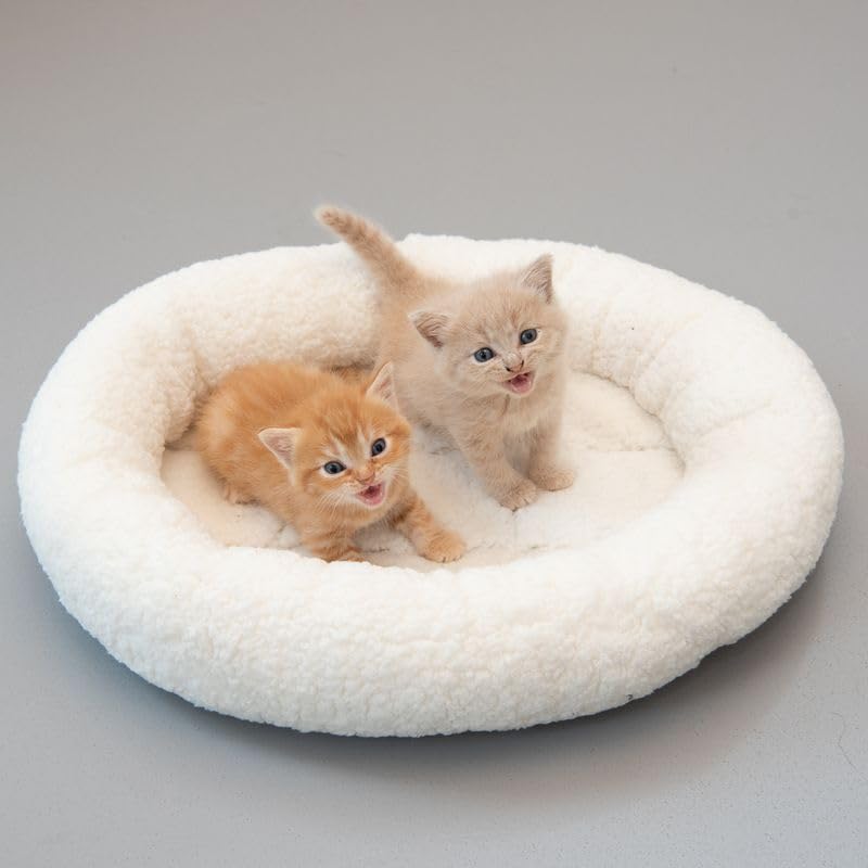 ZOOPLUS Kuschelbett Fluffy 2in1 | Weiches Wende-Bettchen für Hunde und Katzen | Winterseite aus kuscheligem Lammfell-Imitat und Sommerseite aus glattem Nylonstoff | Maße: 50 x 42 x 7,5 cm (wollweiß)