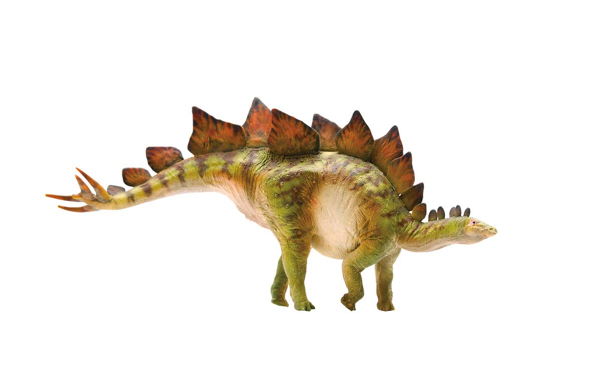 Amazon.co.jp: PNSO 先史時代恐竜モデル: 14 ステゴサウルスの