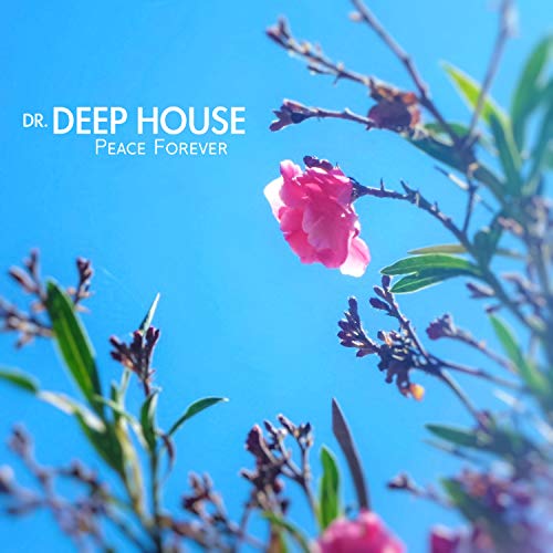 Amazon Music Unlimited Dr Deep House Peace Forever amazon-music-unlimited-dr-deep-house-peace-forever