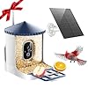 SOLIOM BF02 Bird Feeder with Camera Wireless Outdoor 2K HD Wild Bird Watching Cam with Full Color Night Vision AI Identify Bird Species Live View Instant Notifications with 3W Solar Panel